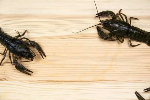 A fresh crayfish or lobsters from the river on a wood background with copy sp Stock Photos