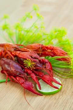 Fresh crayfish 스톡 사진