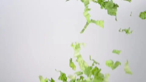 Fresh crunchy Chopped Green Leaf Lettuce Raining Slow Motion White Backdrop Видео 335991177