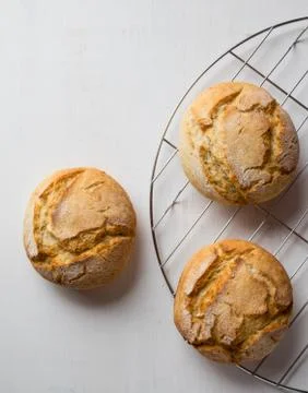 Fresh crusty bread bun Stock Photos