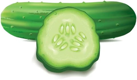 Fresh cucumber and slice isolated on white Stock Illustration