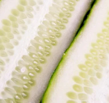 Fresh cucumber background Stock Photos