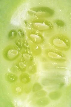 Fresh cucumber close up Stock Photos