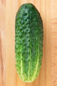 Fresh cucumber closeup Stock Photos