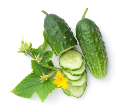 Fresh Cucumber Composition Isolated Over White Background Stock Photos