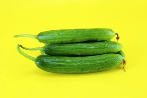 Fresh Cucumber Stock Photos