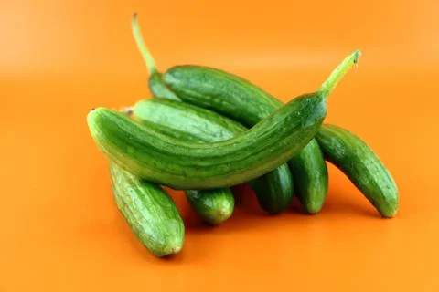 Fresh Cucumber Stock Photos