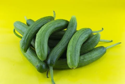 Fresh Cucumber Stock Photos
