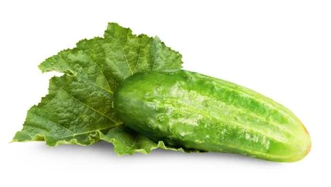 Fresh cucumber Foto stock