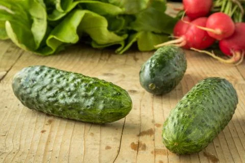 Fresh cucumber Stock Photos