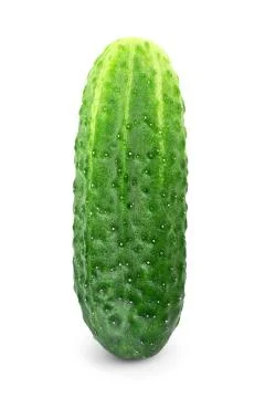 Fresh cucumber Stock Photos