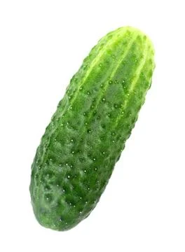 Fresh cucumber Stock Photos
