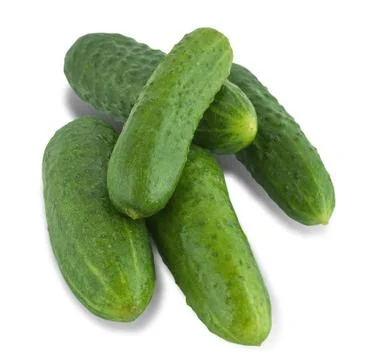 Fresh cucumber Stock Photos