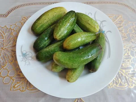 Fresh cucumber in a plate at Table Stock Photos
