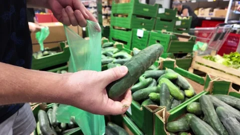 Fresh Cucumber Selection at Market Stock Footage 284148287