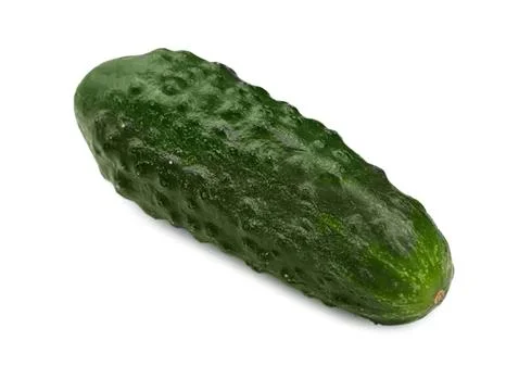Fresh cucumber vegetable on a white background Stock Photos