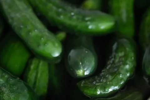 Fresh cucumbers as background or texture Stock Photos