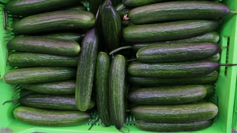 Fresh cucumbers in a basket close-up Stock Footage 83750141