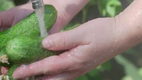 Fresh Cucumbers Being Washed Thoroughly with Water for a Delicious and Healthy 動画素材 280960340