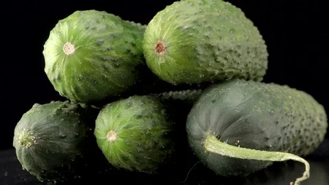 Fresh cucumbers close up on black background Stock Footage 140614663
