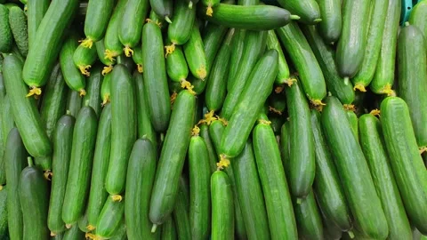 Fresh cucumbers on the counter of the store, vegetables for salad. Stock Footage 286030075