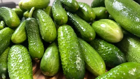 Fresh Cucumbers Display Stock Footage 313363703