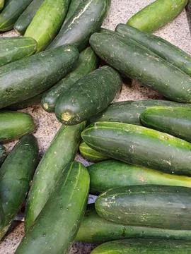 Fresh cucumbers on display Foto stock