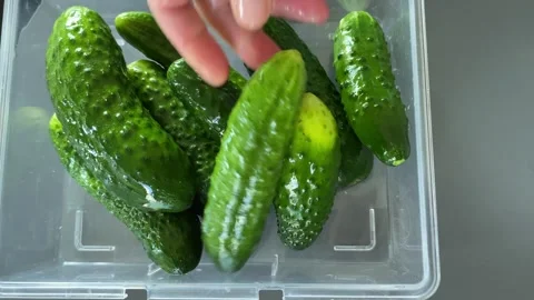 Fresh Cucumbers Displayed in Sale Container Видео 343864955
