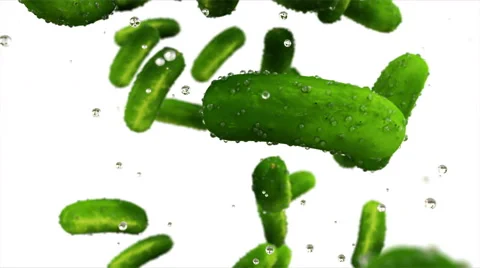 Fresh cucumbers falling with water drops. Food concept. Slow motion. Isolate wit Stock Footage 69025915