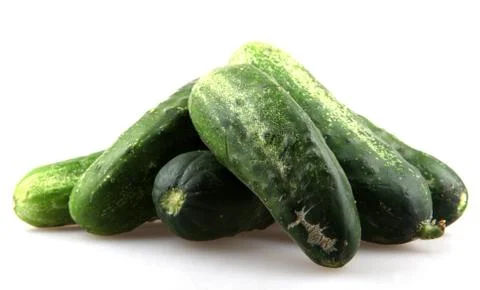 Fresh cucumbers Stock-Fotos