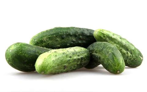 Fresh cucumbers Stock Photos