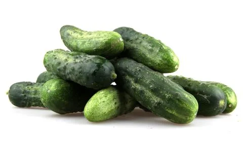 Fresh cucumbers Stock-Fotos