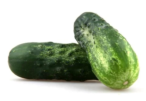 Fresh cucumbers Foto stock