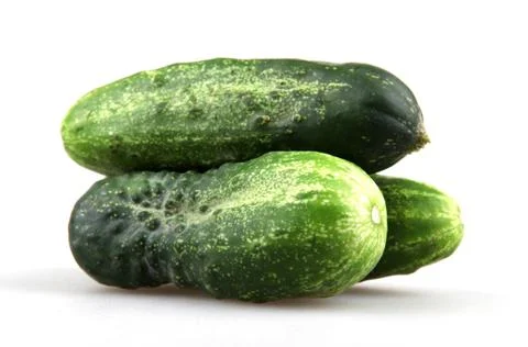 Fresh cucumbers Stock-Fotos