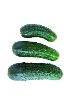 Fresh cucumbers Stock Photos