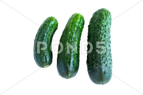 Fresh cucumbers Stock Photos