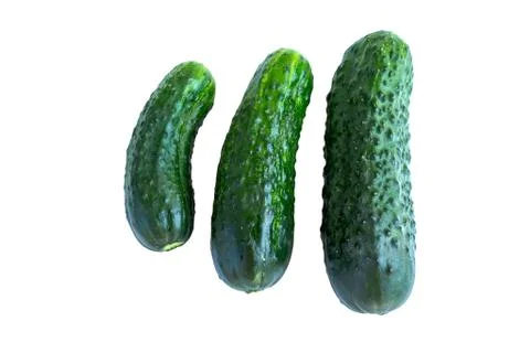 Fresh cucumbers Stock Photos