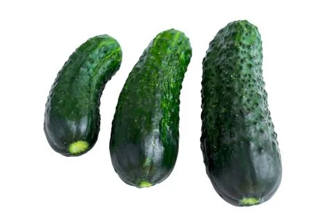 Fresh cucumbers Stock Photos