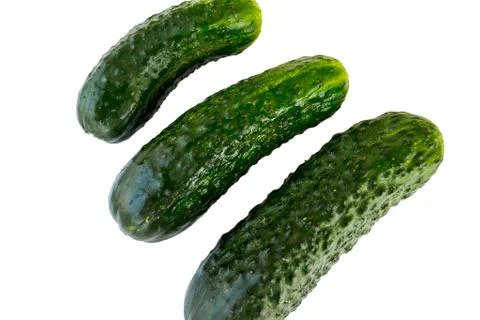 Fresh cucumbers Stock Photos