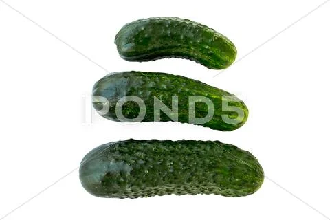 Fresh cucumbers Stock Photos