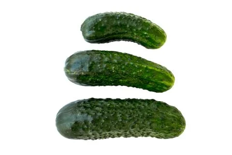 Fresh cucumbers Stock Photos