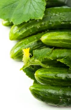 Fresh cucumbers Stock Photos