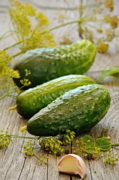 Fresh cucumbers Foto stock