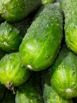 Fresh cucumbers Foto stock