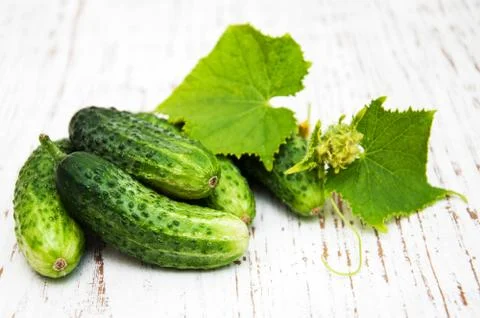 Fresh cucumbers Foto stock