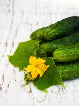 Fresh cucumbers Stock Photos