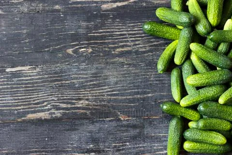 Fresh cucumbers Stock Photos