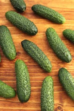 Fresh cucumbers Stock Photos