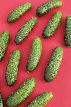 Fresh cucumbers Stock Photos
