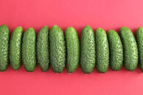 Fresh cucumbers Stock Photos